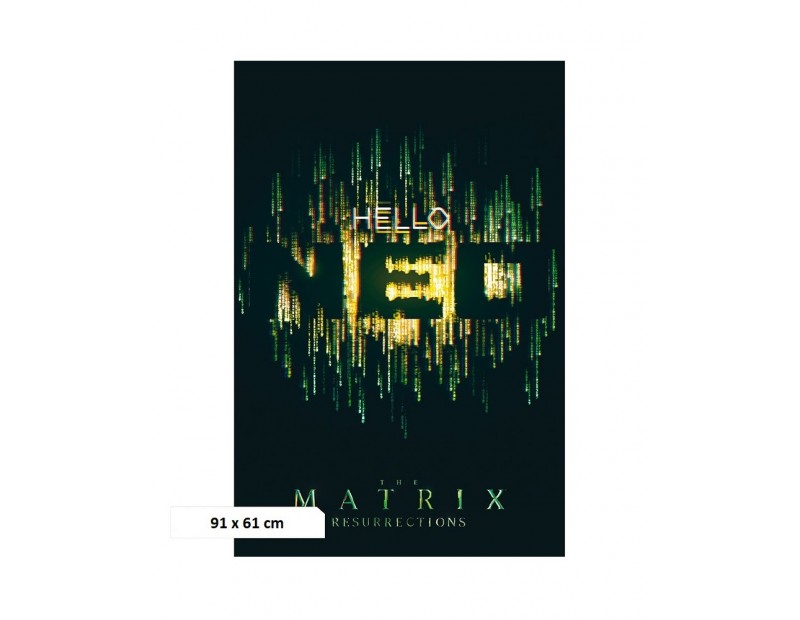 Αφίσα Hello Neo (91x61)