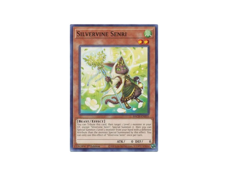 Silvervine Senri (BACH-EN031) - 1st Edition