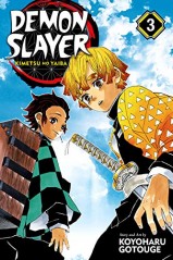 Manga Demon Slayer Τόμος 3 (English)