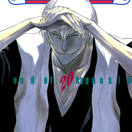 Manga Bleach Τόμος 20 (English)