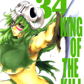 Manga Bleach Τόμος 34 (English)