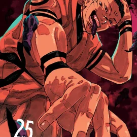 Jujutsu Kaisen Vol. 25 Manga (English)