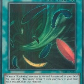 Black Whirlwind (BLAR-EN060) - 1st Edition
