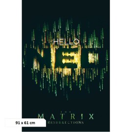Αφίσα Hello Neo (91x61)
