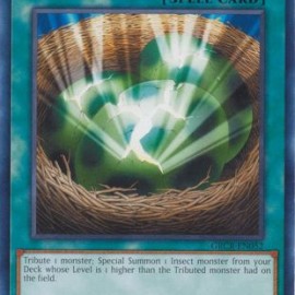 Insect Imitation (GRCR-EN052) - 1st Edition